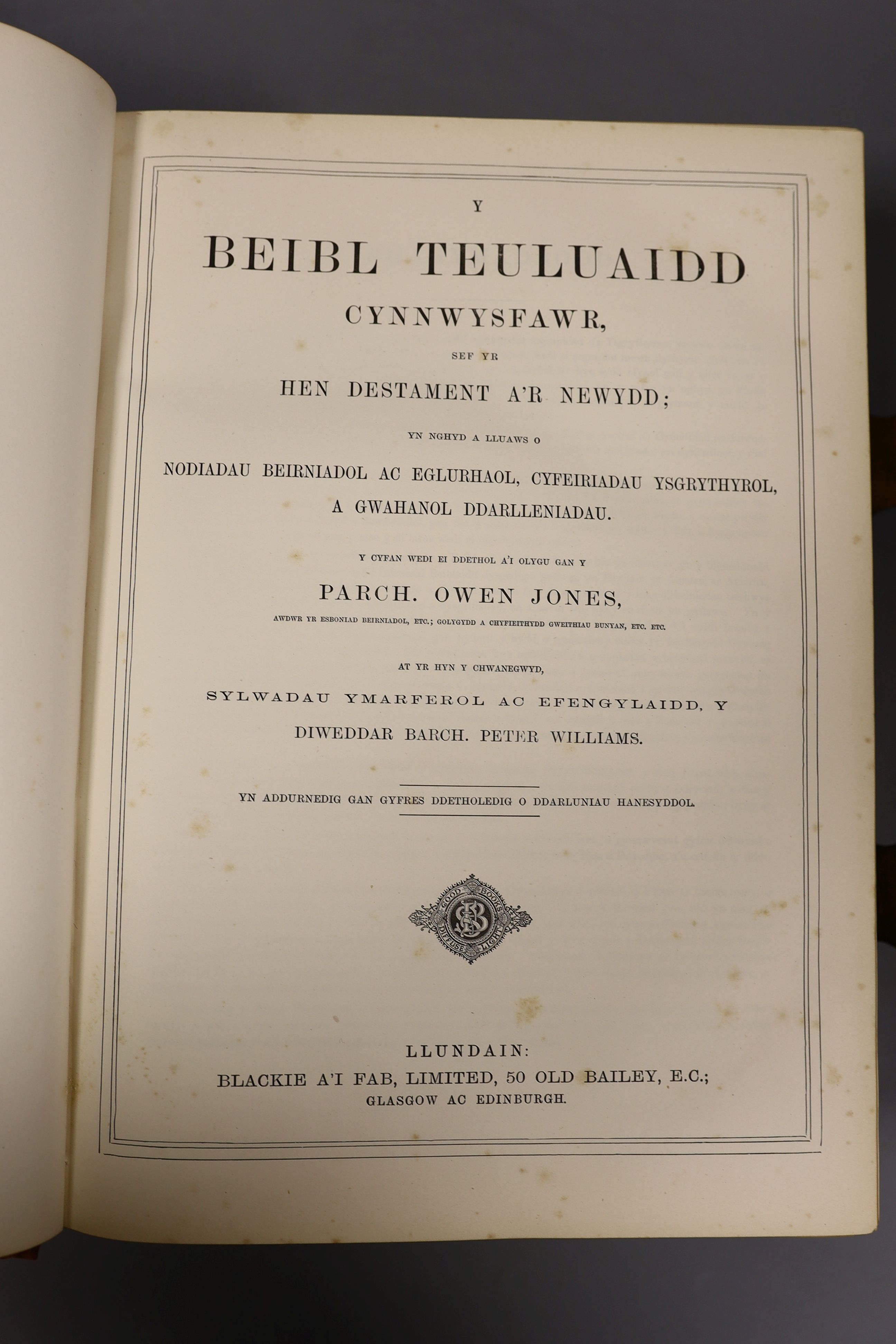Victorian Welsh Bible 